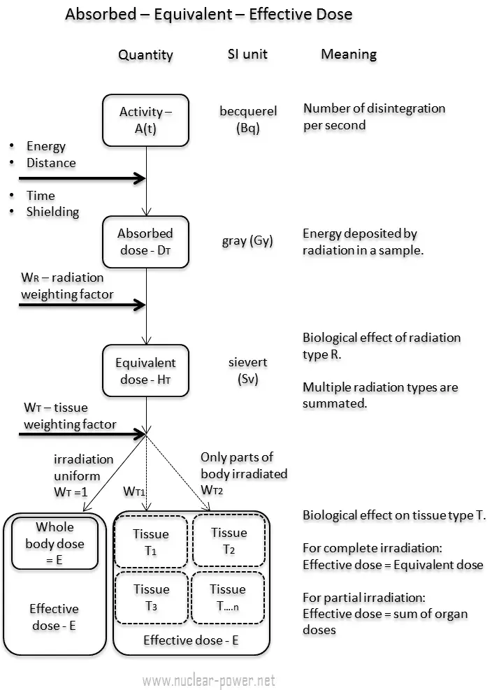 PDF] 21 years of Biologically Effective Dose