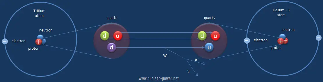 electroweak-interaction-electroweak-force