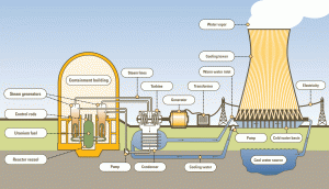 Nuclear power plant description
