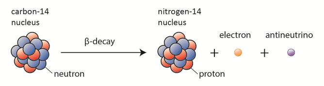 beta decay - carbon-14 dating