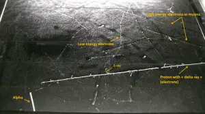 Comparison of particles in a cloud chamber.