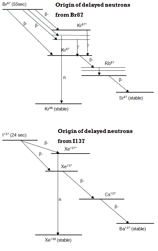 Precursors of Delayed Neutrons