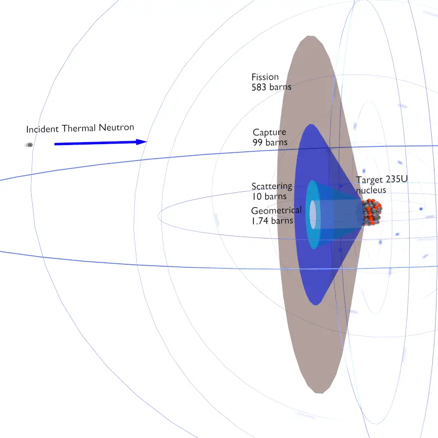 Neutron Cross Section