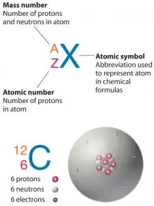 Proton Number - Atomic Number